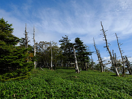 山頂の自然景観